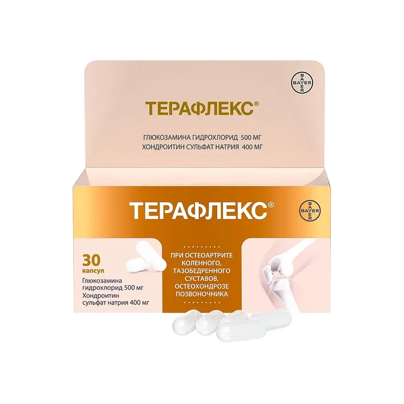 ТЕРАФЛЕКС КАПС., 500МГ/400МГ, №30